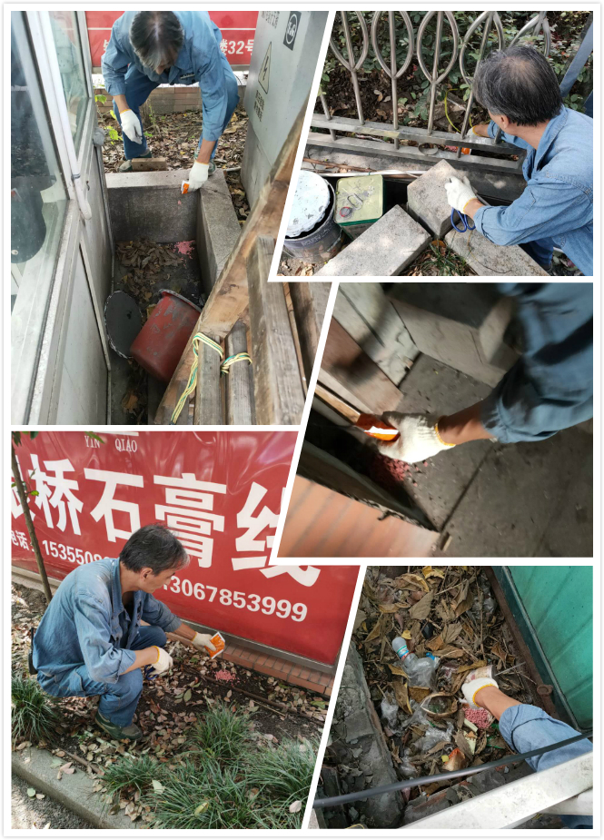 Z6尊龙凯时市场开展冬季灭鼠