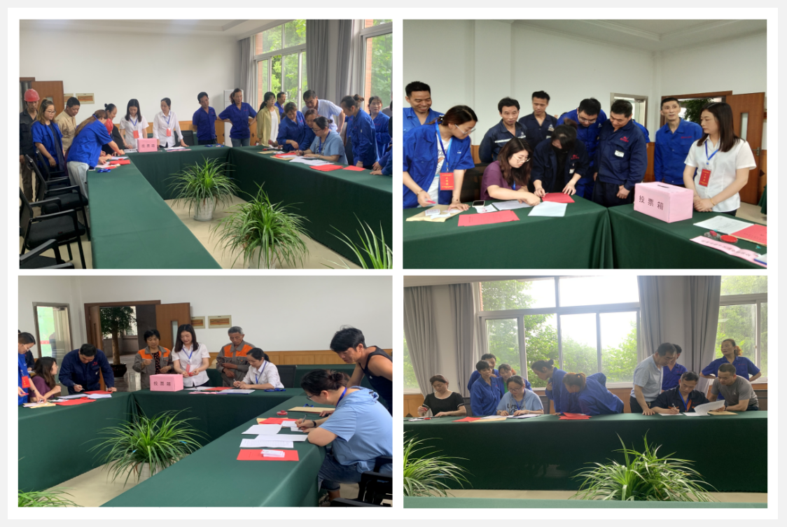 参与选举，，，，，，，履行公民职责