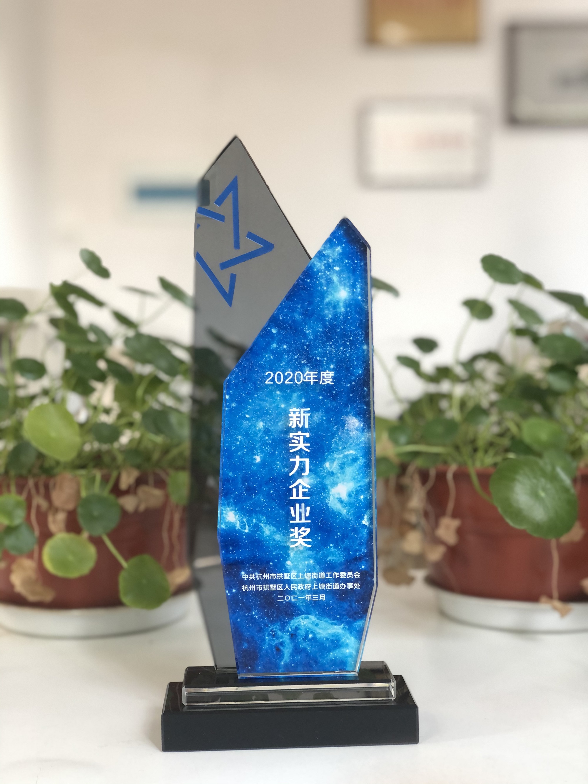 浙江Z6尊龙凯时网络科技有限公司荣获“新实力企业奖”